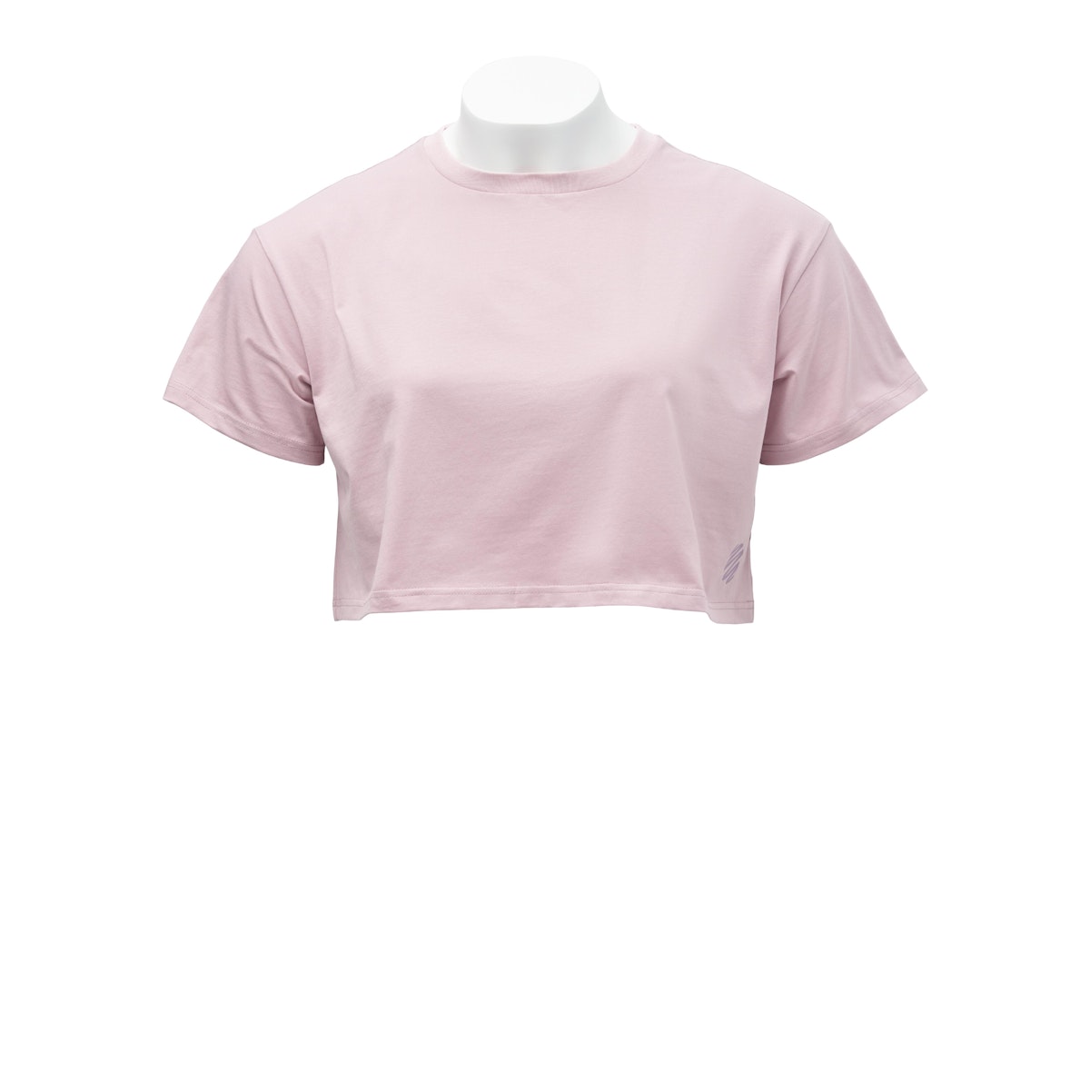 BlenderBottle Cropped T-Shirt (ABWN)
